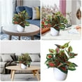 thumbnail image 1 of BKER Pot en Plastique Vert pour Décoration Intérieure et Extérieure Petit Pot Feuilles Rouges, 1 of 5