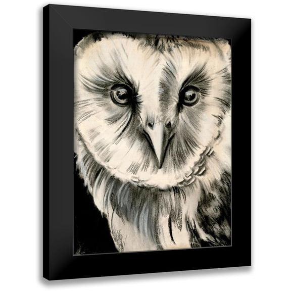 Parker, Jennifer Paxton 12x14 Black Modern Framed Museum Art Print Titled - Charcoal Owl II