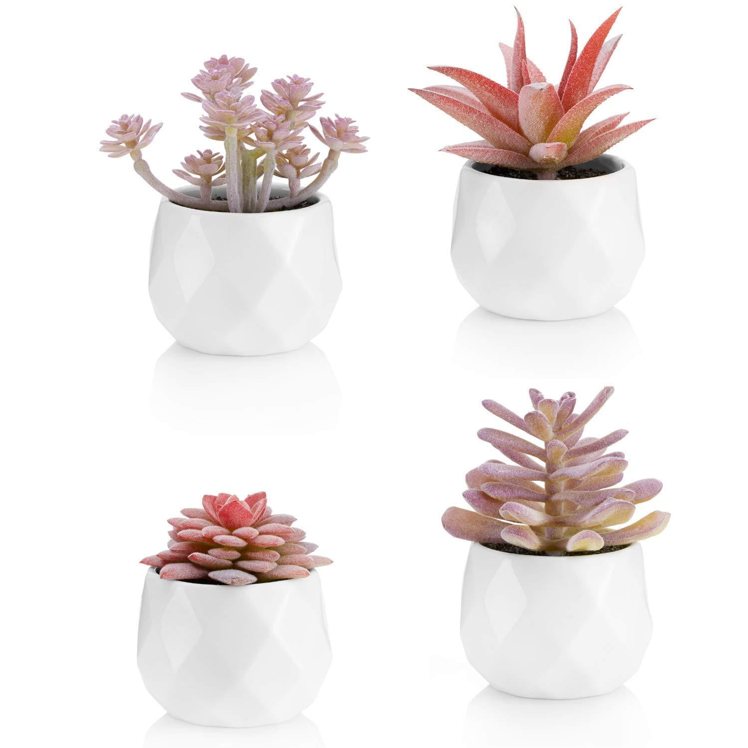 6pc Mini Artificial Succulent Plant Include Pots Home Decoration or Desk Plant 