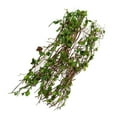 thumbnail image 5 of Kokiya 3 Packs Resin Miniatures Vine for Scenery Building Diorama Fairy Garden Accs, 5 of 7