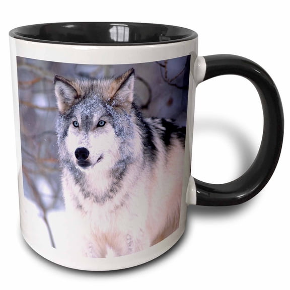 3drose, Timber Wolf, Canis Lupus - Na02 Dno0319 - David Northcott, 11oz Two-tone Black Mug