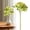Green, variant on Blue Hydrangea Artificial Flowers Single Stem Fake Flowers with Leaves for Table Centerpiece, Faux Flowers for Vase Bouquets Arrangement for Wedding Birthday Party Decoration