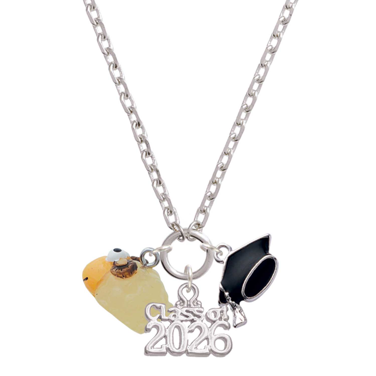 Delight Jewelry Resin Ram - Silvertone Class of 2026 Graduation Zoey Charm Necklace, 28"