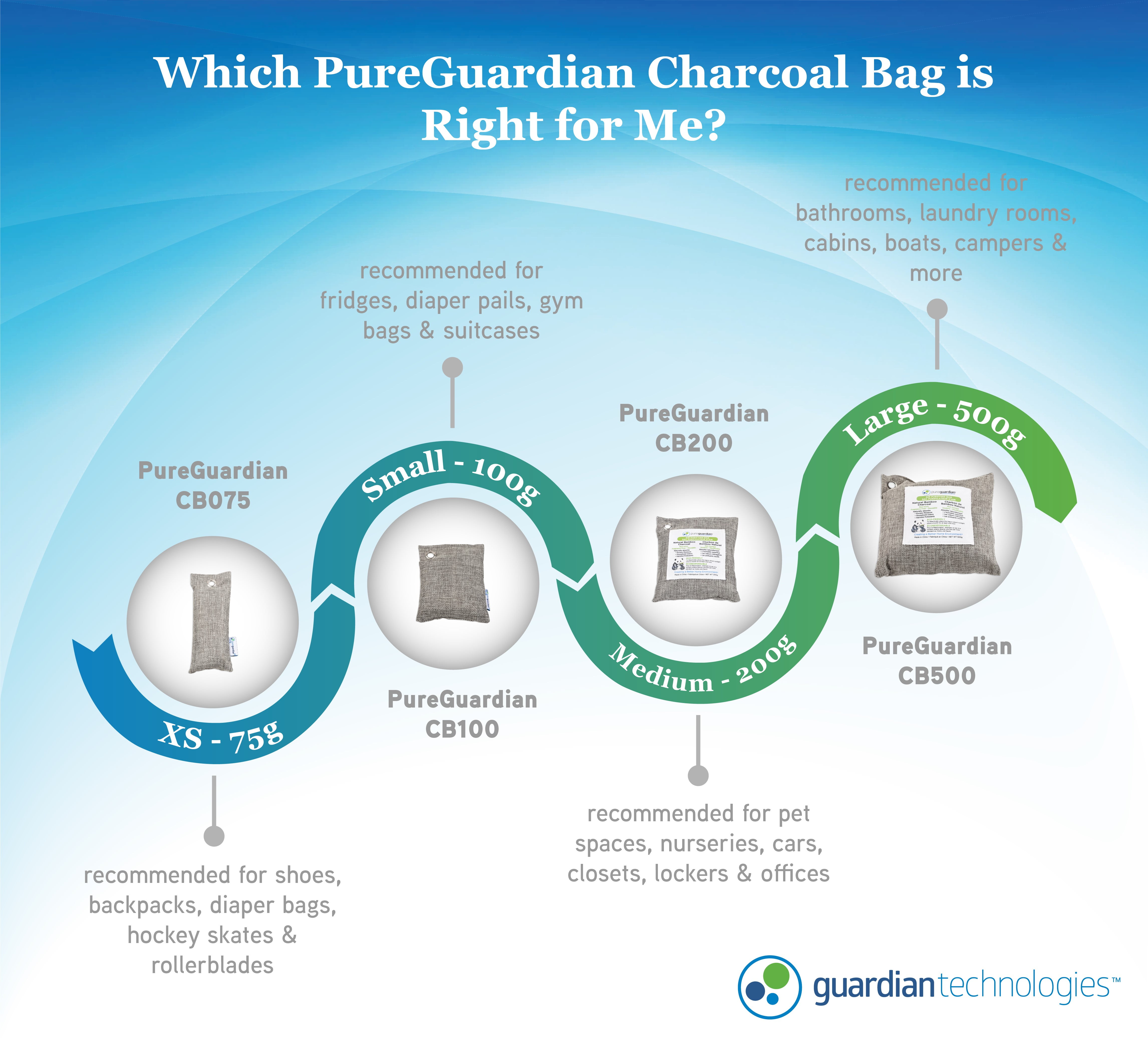 PureGuardian 100g Bamboo Charcoal Air Purifying Bag with Odor Control, 8-Pack, CB1008PK, Unscented