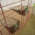 thumbnail image 3 of Flmtop Pet Parrot Wood Platform Stand Rack Toy Hamster Branch Perches for Bird Cage Brown, 3 of 6