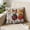 A, variant on Fasiaou Cute Animal Print Pillow Cover 18x18in Set of 2, Adorable Cat Dog Rabbit Faux Embroidery Decorative Cushion Cases for Sofa, Bed and Kids Room, Soft Polyester,E