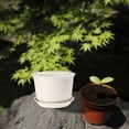 thumbnail image 3 of KAJNBN 1Pack Plastic Flower Pot With Drainage Holes For School Projects 11.8x7.7x7.3in, 3 of 8