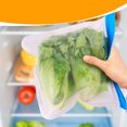 thumbnail image 4 of Limorve 4 Pcs Sacs de Rangement Alimentaire en PEVA de Qualité Alimentaire Réutilisables Transparents Étanches Lavables au Lave-Vaisselle Conteneur de Fruits et Légumes pour Réfrigérateur Fournitures de Cuisine Bleu, 4 of 10