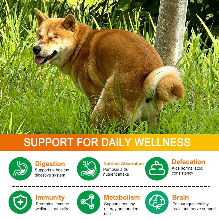 Oimmal Pumpkin for Dogs & Cats, All Natural Fiber with Digestive Enzymes, Apple, Healthy Stool & Digestive Support, Diarrhea, Constipation Relief, Pumpkin Powder for to Make Puree 2Pack