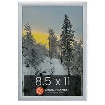 Craig Frames 23247018 Picture Frame, 8.5x11 inch, Brushed Silver