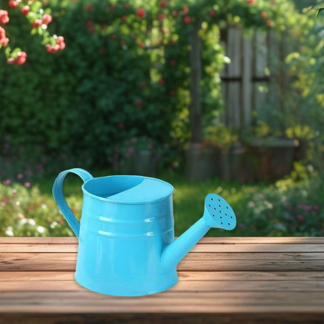 Lata para niños agua de jardinería lata de los niños hierro para plantas de exterior de interior pequeña tetera para plantas de interior Azul