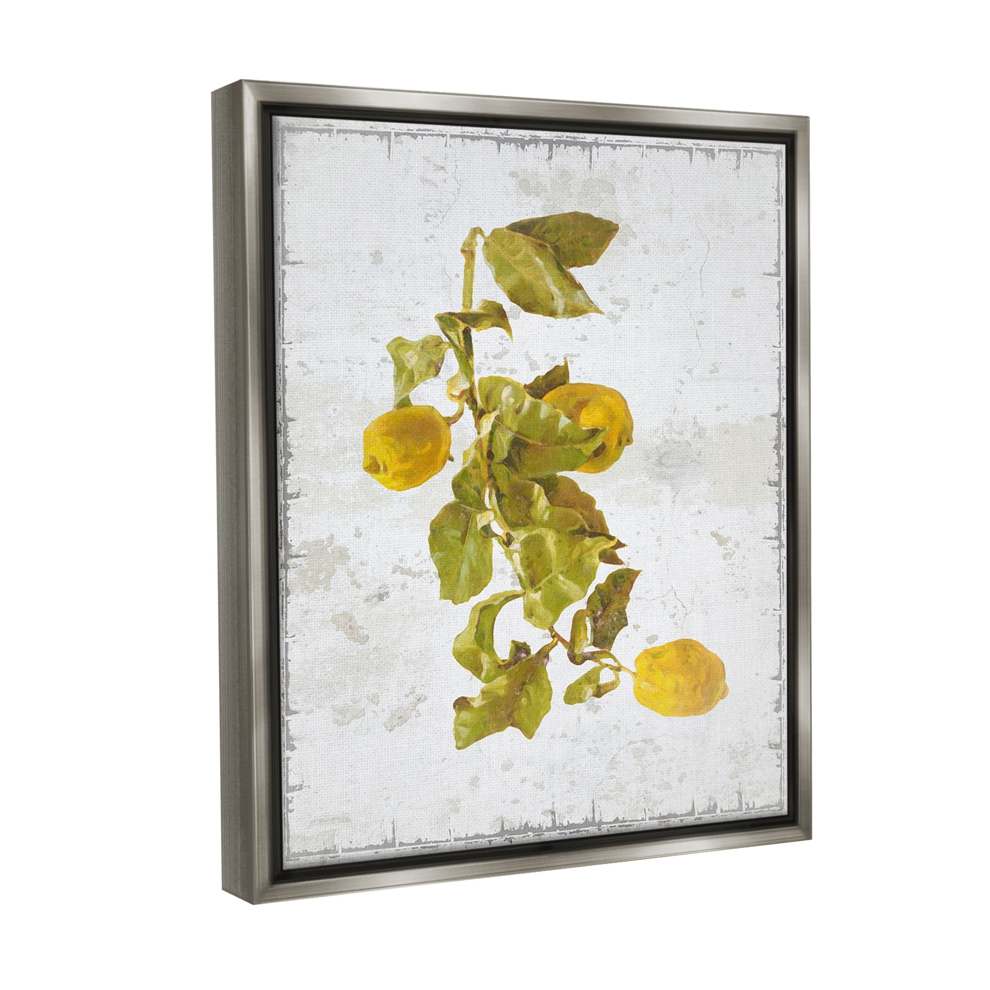 Stupell Industries Natural Lemon Fruits Food & Beverage Painting Gray Floater Framed Canvas Art Print Wall Art, 17 x 21