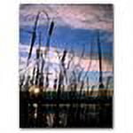 Trademark Art "The Secret II" Canvas Art by CATeyes