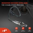 thumbnail image 2 of A-Premium O2 Oxygen Sensor Compatible with Mazda 626 1996-2000 MX-6 1996-1997 Suzuki Forenza 2006-2008 Upstream or Downstream, 2 of 9
