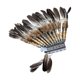 thumbnail image 3 of Sombrero americano con jefe americano, tocado de plumas, tocado para adultos para fiestas,, 3 of 9