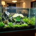 thumbnail image 4 of Glow In Dark Silicone Sea Anemone Ornament, Luminous Artificial Coral Plant Fish Tank Decor Aquarium Landscape Underwater Decoration in 5 Colors, 4 of 6