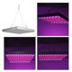 thumbnail image 4 of Luz LED de cultivo para plantas de interior de 45W, lámpara de cultivo de plantas de espectro completo, enchufe AC85-265V de EE. UU., 4 of 8