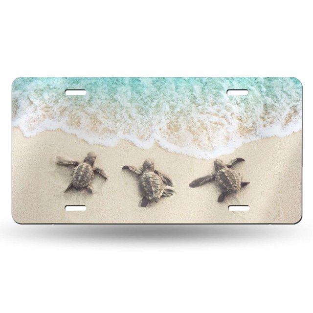 Placa decorativa HANGWWZQ Sea Turtles 15x30 cm