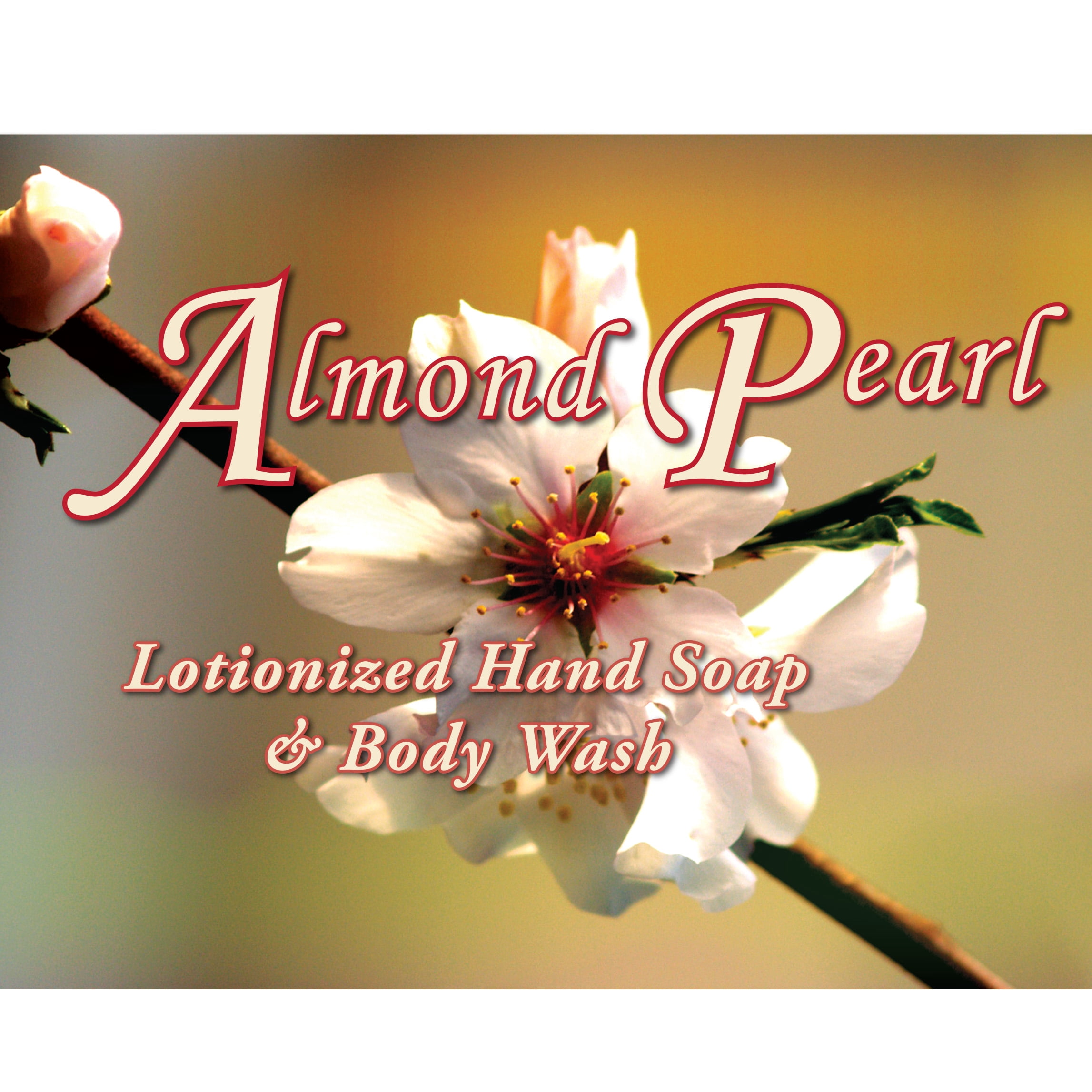 Quality Chemical / Almond Pearl Luxury Hand Soap / All Skin Types / 4 Gallon Case
