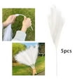 thumbnail image 4 of Césped artificial de 50 cm, ramas secas, tallos, junco artificial, flores para jarrón blanco, 4 of 8