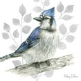 thumbnail image 2 of Wilson, Kelsey 12x12 White Modern Wood Framed Museum Art Print Titled - Backyard Birds I-Blue Jay, 2 of 4
