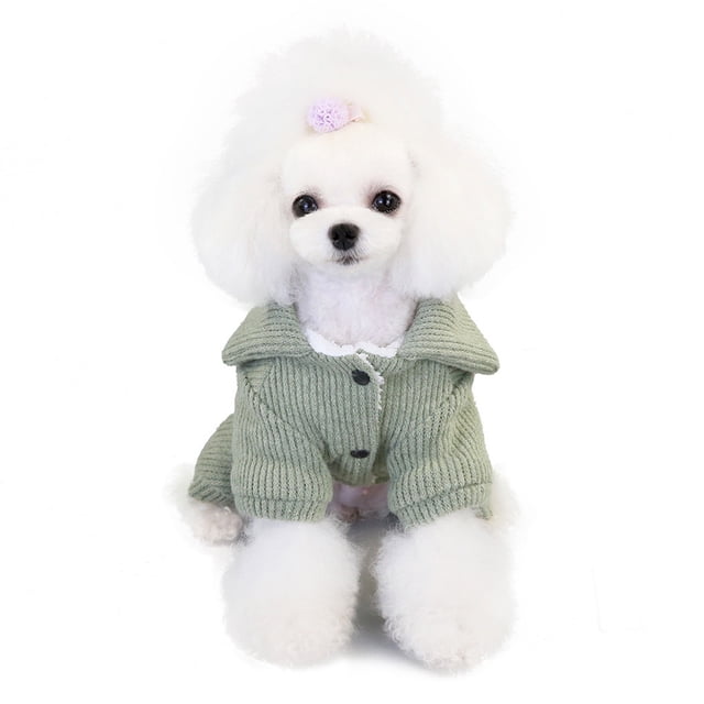 xihbxyly compras en línea ropa para mascotas y ropa de invierno ropa de invierno para cuatro patas — Caniche blanco sentado con suéter de punto verde claro, cuello vuelto y botones visibles, textura acanalada, vista frontal centrada sobre fondo blanco; también suele usarse como ropa para perro en paseos cortos.