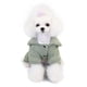 thumbnail image 1 of Xihbxyly Compras En Línea Ropa para Mascotas y Ropa de Invierno Ropa de Invierno para Cuatro Patas, 1 of 5