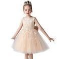 thumbnail image 1 of Robe de Princesse pour Fille, Cadeau d'Anniversaire, Robe de Demoiselle d'Honneur, Col Rond, Sans Manches, Nœud Solide, Robe de Princesse, 1 of 3