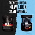 thumbnail image 3 of Suplemento de soporte articular Animal Flex Powder, 30 cucharadas, 3 of 5