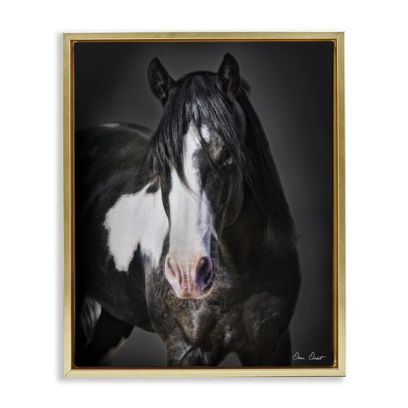 Stupell Industries Southwestern Black & White Horse Gold Floating Frame Canvas Art, 17 x 21, by David Drost