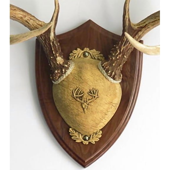 TTW  Antler Mounting Kit - Black Walnut$$Other