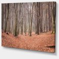 thumbnail image 2 of Feuilles dans la Forêt Épaisse d'Automne - Impression sur Toile Forêt, 2 of 4
