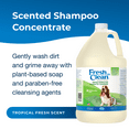 thumbnail image 2 of Pet-Ag Fresh ’n Clean Oatmeal ’n Baking Soda Shampoo (10:1) - 1 Gallon, 2 of 5