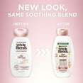 thumbnail image 4 of Garnier Whole Blends Gentle Repairing Conditioner with Oat Milk Rice Cream Extracts, Dry Hair, 12.5 fl oz, 4 of 10