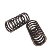 Valve Springs Inner, pair; GY6