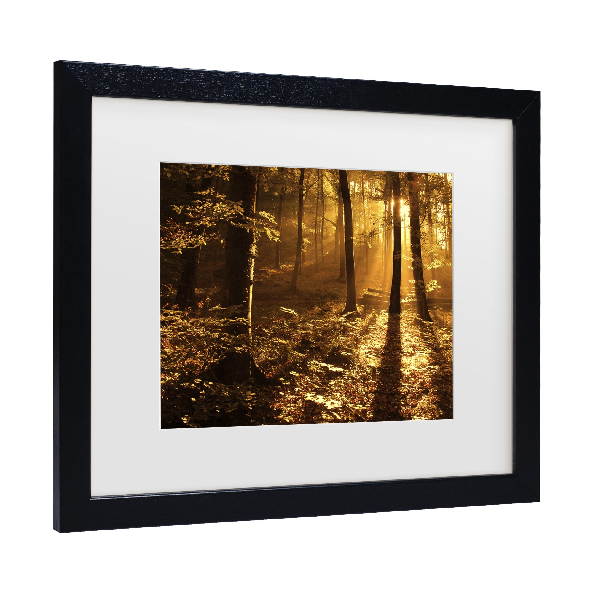 Trademark Fine Art 'Morning Light' Canvas Art by Philippe Sainte-Laudy