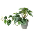 thumbnail image 1 of Naiovety Plantas artificiales Hoja Planta falsa Interior Exterior de boda falsa Hogar Paisaje de Navidad Regalo de inauguración de la casa Decoración hoja de sandía/Maceta, 1 of 6
