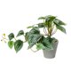 thumbnail image 2 of Matsuzay Plantas artificiales Hoja Planta falsa Interior Exterior de boda falsa Hogar Paisaje de Navidad Regalo de inauguración de la casa Decoración hoja de sandía/Maceta, 2 of 6