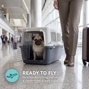 SportPet Designs Airline Approved Plastic Dog Kennel, Small