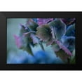 thumbnail image 2 of Crane, Rita 24x17 Black Modern Framed Museum Art Print Titled - Autumn Hydrangea II, 2 of 5