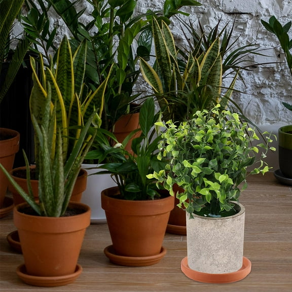 HEMOTON 5 Pcs Clay Flowerpot Saucer Plant Pots with Drainage Saucers Plate Terracotta