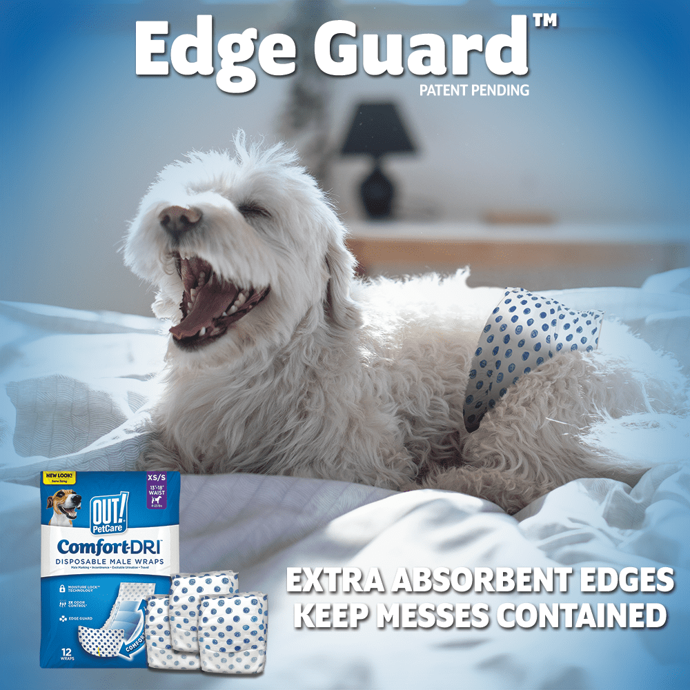 (2 pack) OUT! Petcare Disposable Male Dog Diapers, Absorbent Leak Proof Fit, XS/Small, 12 Count