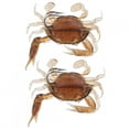 thumbnail image 2 of Leurre pour Poisson, Leurre pour Poisson Crabe 2 Pcs Leurres de Pêche Souples en Silicone Appât Artificiel Crabe avec Hameçons Leurre de Pêche pour Crabe Accessoires d'Attirail pour Poisson, 2 of 7