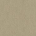 thumbnail image 1 of 008 Tissu Vinyle, Faon, 1 of 1