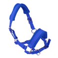 thumbnail image 2 of Caballo Halter Brida Rienda Ecuestre Headstall Headcollar Equitación Protección Azul S Cola cabestro acolchado ajustable, 2 of 5