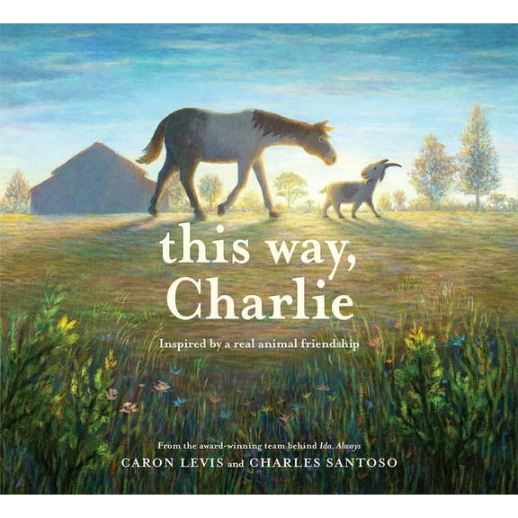 The Feeling Friends This Way, Charlie: A Picture Book, (Hardcover)