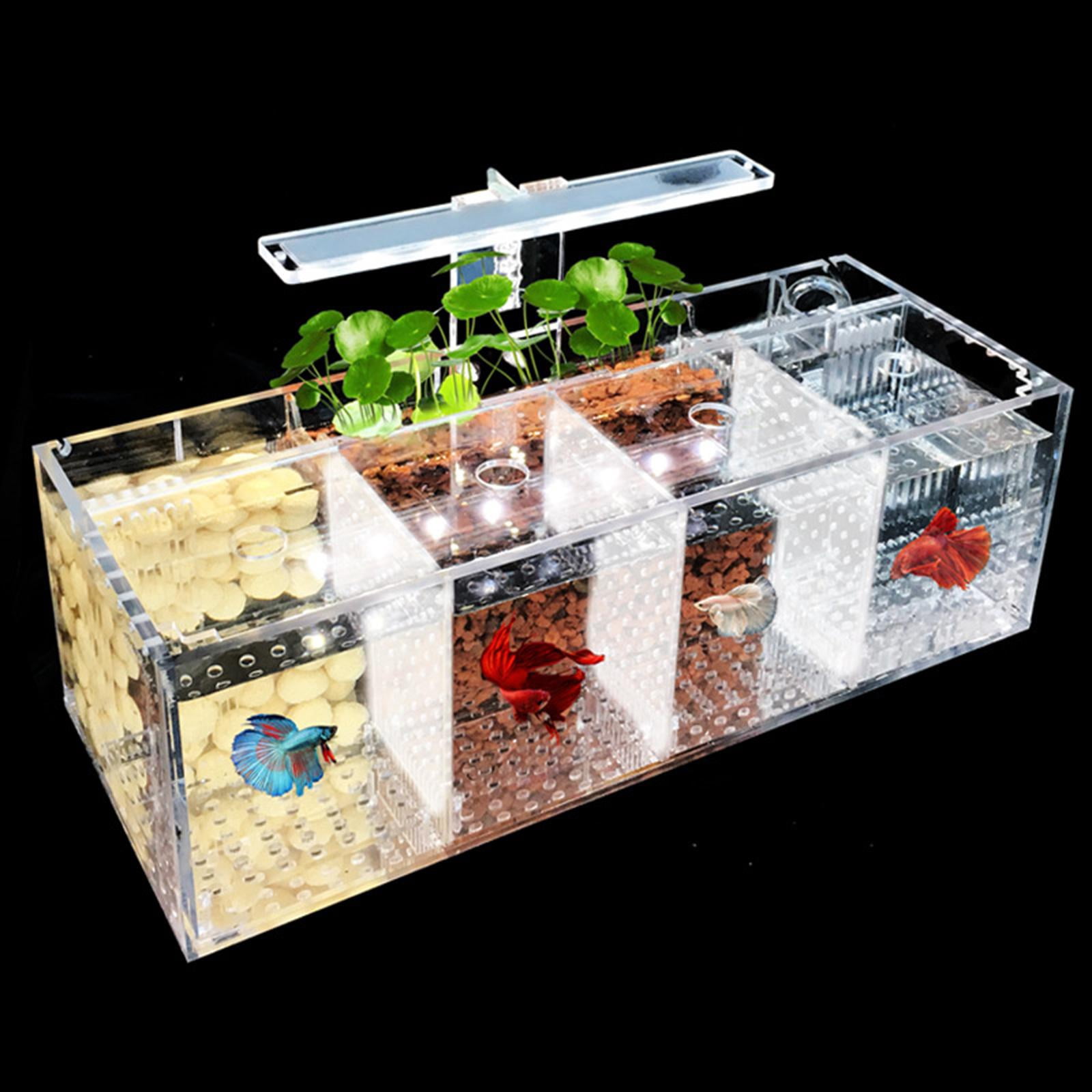 Bvdfgk Betta Fish Tank Fish Bowl Desktop Living Room Table Centerpieces Ornament Office Indoor Fish Basket Aquarium Transparent Tank