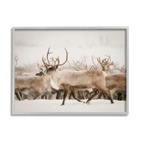 Stupell Elk Herd Snowy Winter Scene Animals & Insects Photography Gray Framed Art Print Wall Art