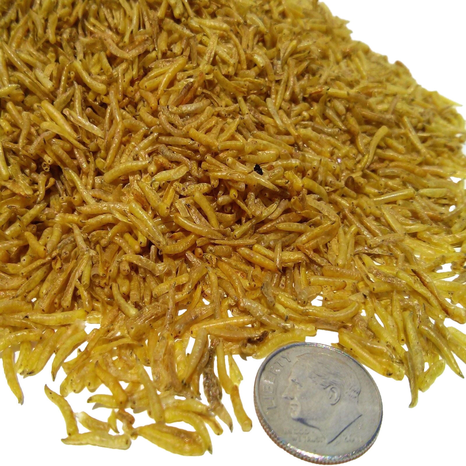 White Worms - Freeze Dried Floating White Worms for All Tropical Fish, Marine Fish, Discus, Cichlids, Koi & Pond Fish, Turtles, Small Rodents, Reptiles...14oz Bag