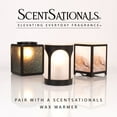 thumbnail image 5 of Scentsationals Wax Melts, Wax Cubes Strong Scent – Soda Pop Collection Root Beer – Long Lasting Scented Melts for Warmer, 10oz (24-Cubes), 5 of 5